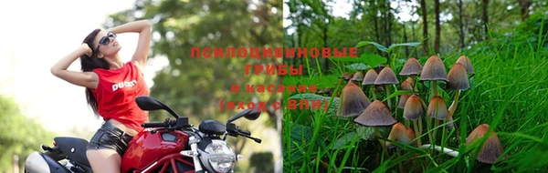 трава Магадан