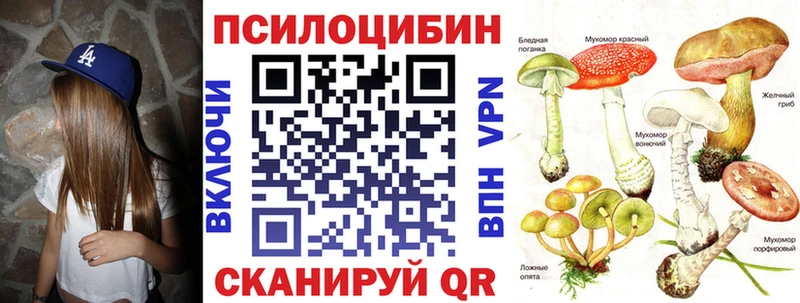 это официальный сайт  Олонец  Галлюциногенные грибы Psilocybe  купить наркотик 